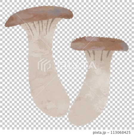 エリンギ　きのこ　菌類　菌活　イラスト 113068425