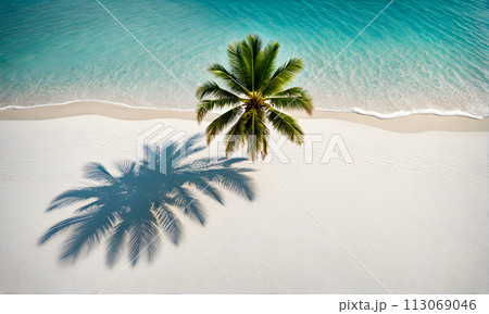 Tranquil Azure Ocean Beach Scene 113069046