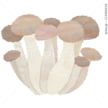 しめじ　きのこ　イラスト　菌類　野菜 113069229