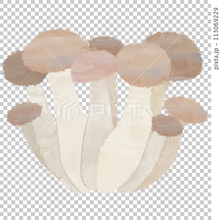 Shimeji 蘑菇圖真菌蔬菜 113069229