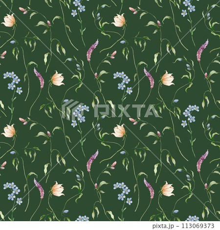 Watercolor seamless pattern of cosmos flower, forget-me-not and lavender. Hand painted floral composition isolated on dark green background. Flower illustration for interior design and background. 113069373