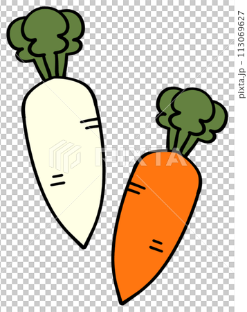 Simple carrot and radish illustration Simple carrot and radish illustration 113069627