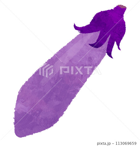 なす　茄子　野菜　夏野菜　イラスト 113069659