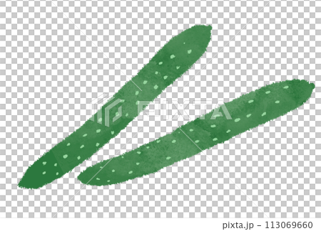 黃瓜圖黃瓜 113069660