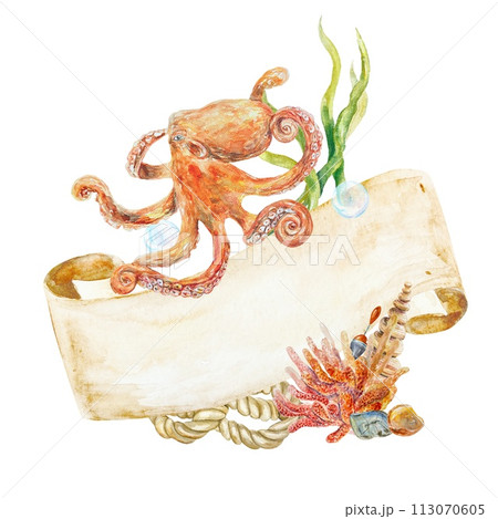 Octopus, algae, coral, seashell on white background with banner for text. Hand drawn watercolor illustration for cards, invitations, posters, covers. Octopus, algae, coral, seashell on white background with banner for text. Hand drawn watercolor illustration for cards, invitations, posters, covers. 113070605