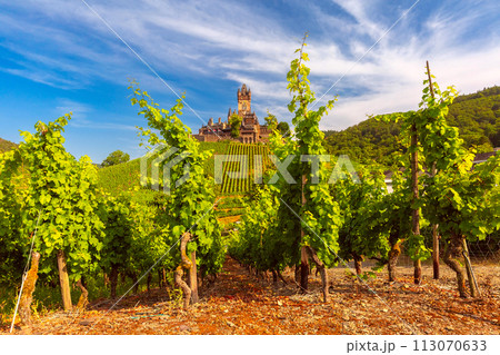 Cochem with Reichsburg castle, Germany 113070633