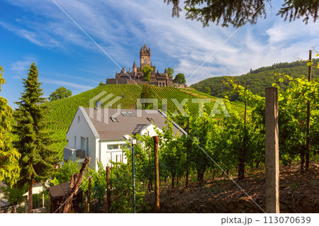 Cochem with Reichsburg castle, Germany Cochem with Reichsburg castle, Germany 113070639