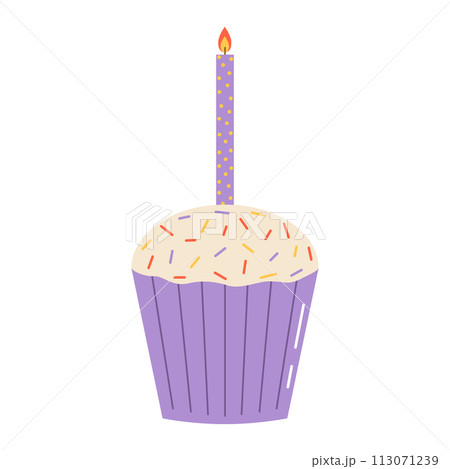 Birthday cupcake with candle. Flat vector isolated illustration 113071239