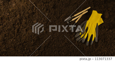 Against the background of the soil lie a shovel and a rake for transplanting a seedling into the ground. View from above. Place to insert text. Gardening concept. 113071337