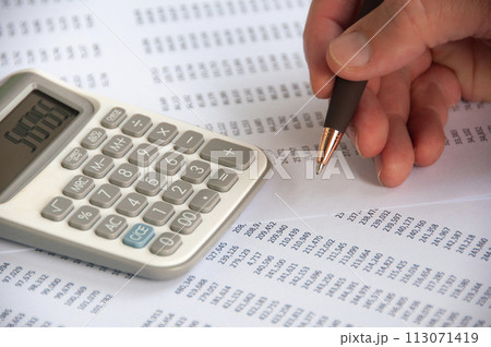 Hand holding pen while doing financial performance analysis. Business strategy and budget concept Hand holding pen while doing financial performance analysis. Business strategy and budget concept 113071419
