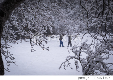 Family playing in fresh snow at beautiful winter day outdoor in nature Family playing in fresh snow at beautiful winter day outdoor in nature 113071507