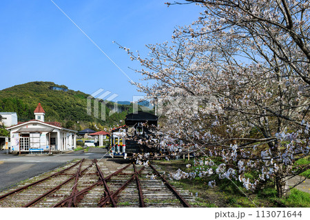 桜と永野鉄道記念館 113071644