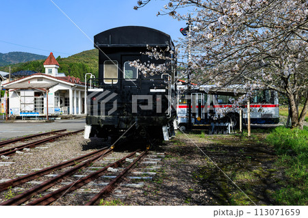 桜と永野鉄道記念館 桜と永野鉄道記念館 113071659