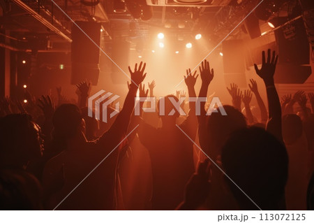 people having fun at a party in a dark club people having fun at a party in a dark club 113072125