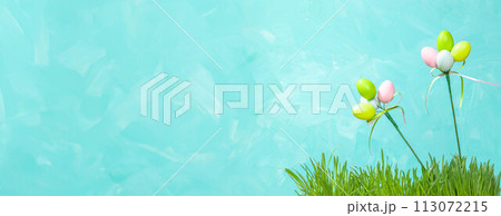 Easter banner. Decorative colorful eggs on wand in green grass Turquoise white background Copy space 113072215