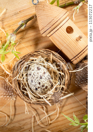 Nest, quail egg, decorative birdhouse, twigs with spring leaves on wood. Organic Easter. Top view. 113072217