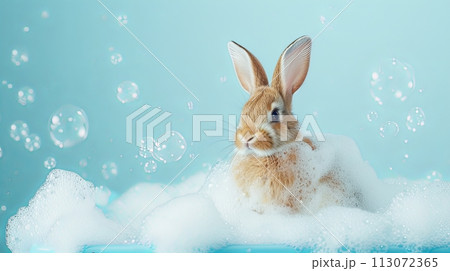 Easter bunny bathes in a bath on a blue background 113072365