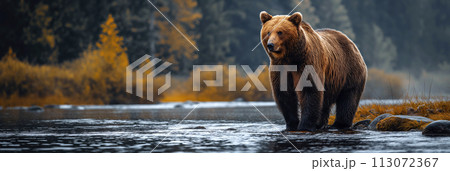 brown bear catch fish in forest river. Panoramic landscape 113072367
