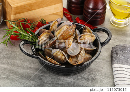 Raw vongole clams for cooking 113073015