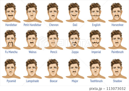 Mustache types. Vector isolated set. With definitions Mustache types. Vector isolated set. With definitions 113073032