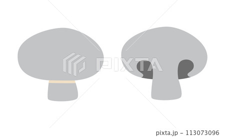 Champignon mushrooms, whole and half cartoon style. Vector illustration isolated on white background, hand drawn, flat design 113073096