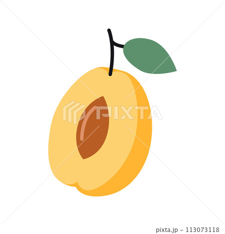 Half of an apricot fruit with pit and leaf, cartoon style. Vector illustration isolated on white background, hand drawn, flat design 113073118