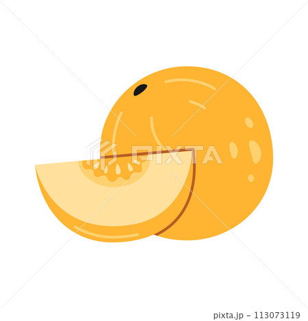 Ripe round melon with a cut piece, cartoon style. Vector illustration isolated on white background, hand drawn, flat design Ripe round melon with a cut piece, cartoon style. Vector illustration isolated on white background, hand drawn, flat design 113073119