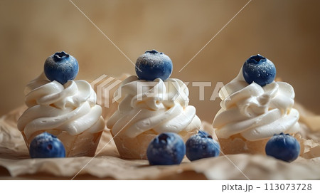 Delicious Whipped Cream and Blueberries Topping Mini Cakes. Ideal for Baking Blogs and Recipe Websites. Capture Sweet Moments and Delectable Desserts. AI 113073728