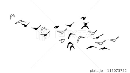 Flying birds silhouette flock. hand drawing. Not AI, Vector illustration 113073732