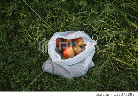 Reusable mesh bag with nectarines and peaches on green grass, zero waste grocery concept, 113073898