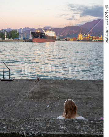 Port area. Container ships in the port. The atmosphere of a cargo seaport. Marine urban landscape. Shipping in Georgia. Port area. Container ships in the port. The atmosphere of a cargo seaport. Marine urban landscape. Shipping in Georgia. 113074549