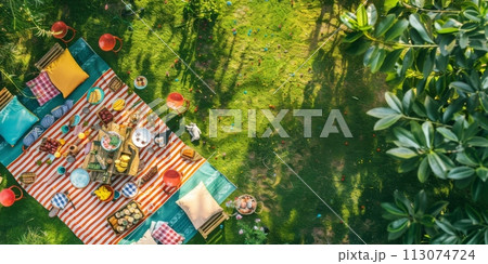 Top view to picnic party with lot of kind of food, fruit, vegetable, toasts and drinks, summer enjoying concept Top view to picnic party with lot of kind of food, fruit, vegetable, toasts and drinks, summer enjoying concept 113074724
