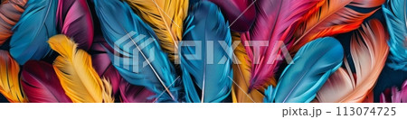 Colorful feathers as background or texture Colorful feathers as background or texture 113074725