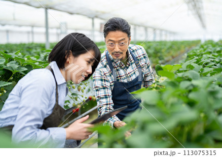 スマート農業 スマート農業 113075315