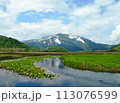 初夏の尾瀬、水芭蕉、池塘、トレッキング、湿原、登山、青空、至仏山 113076599