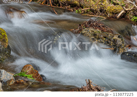 京都洛北の清流鞍馬川 113077225