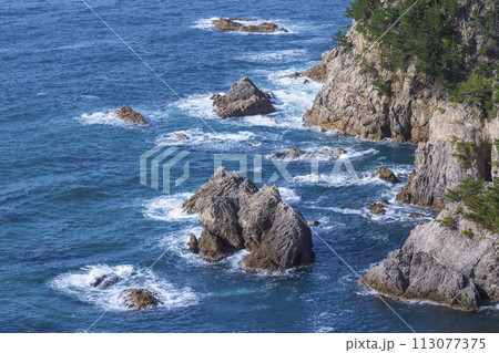春の浦富海岸の風景 鳥取県 浦富海岸 113077375