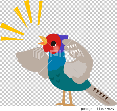 一隻歌唱的雄性雉雞的變形插圖 113077625