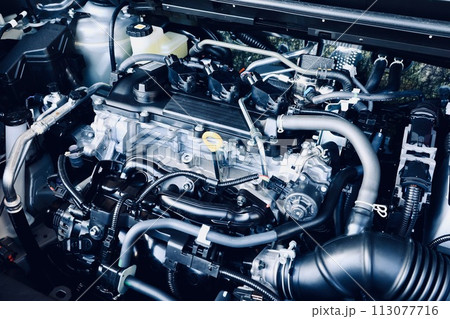 自動車のボンネット開けたエンジンルーム　3気筒エンジン 113077716