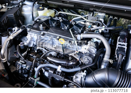 自動車のボンネット開けたエンジンルーム 3気筒エンジン 自動車のボンネット開けたエンジンルーム 3気筒エンジン 113077718