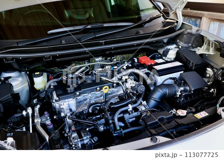 自動車のボンネット開けたエンジンルーム 3気筒エンジン 自動車のボンネット開けたエンジンルーム 3気筒エンジン 113077725