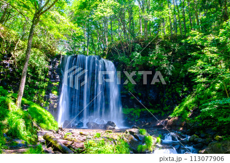 唐沢の滝（上田市菅平） 113077906