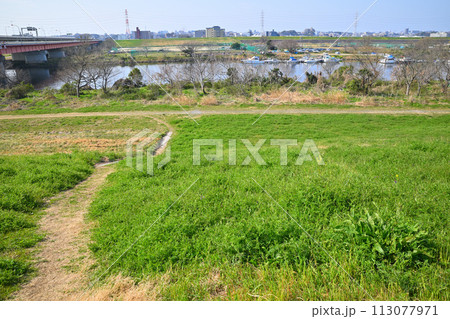荒川本流と笹目橋 荒川土手からの眺め 春の風景 荒川本流と笹目橋 荒川土手からの眺め 春の風景 113077971