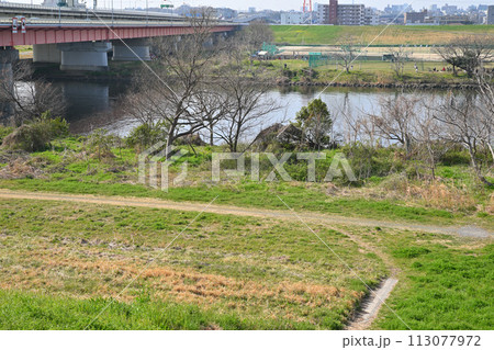 荒川本流と笹目橋　荒川土手からの眺め　春の風景 113077972