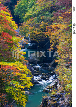 埼玉奥秩父の秋 紅葉の金蔵落としの渓流 埼玉奥秩父の秋 紅葉の金蔵落としの渓流 113078055