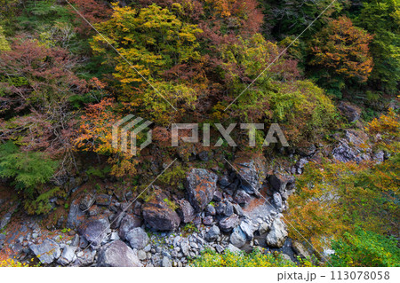 埼玉奥秩父の秋 紅葉の金蔵落としの渓流 埼玉奥秩父の秋 紅葉の金蔵落としの渓流 113078058