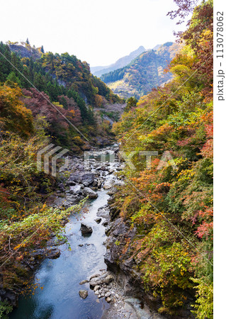 埼玉奥秩父の秋 紅葉の金蔵落としの渓流 埼玉奥秩父の秋 紅葉の金蔵落としの渓流 113078062