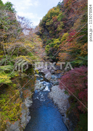 埼玉奥秩父の秋 紅葉の金蔵落としの渓流 埼玉奥秩父の秋 紅葉の金蔵落としの渓流 113078064
