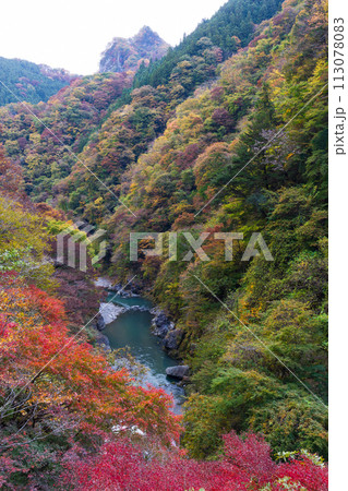 埼玉奥秩父の秋 紅葉の金蔵落としの渓流 埼玉奥秩父の秋 紅葉の金蔵落としの渓流 113078083