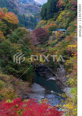 埼玉奥秩父の秋 紅葉の金蔵落としの渓流 埼玉奥秩父の秋 紅葉の金蔵落としの渓流 113078085